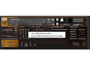 Spitfire Audio Albion One (4233)