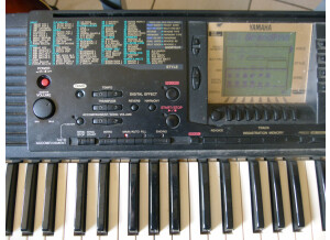 Yamaha PSR-300 (17451)