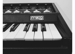 micro Moog