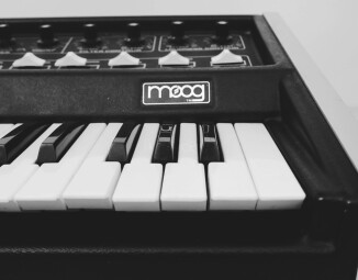 Samples From Mars Vintage Synths Vol 1 : micro Moog