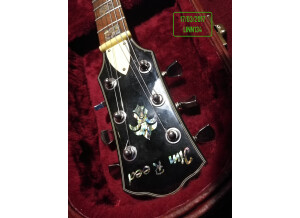 Jim Reed Guitars Les Paul P90 (86469)
