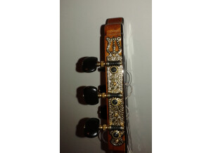 Alhambra Guitars 7 P A CW E2