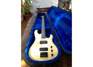 Gibson IV Bass