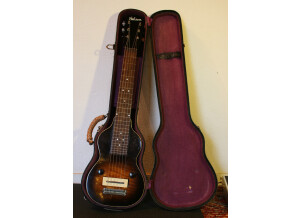 Gibson EH-125 (37856)