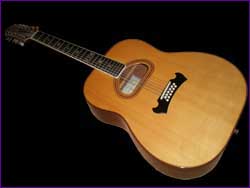 Guitares : c) jo hackett zemaitis