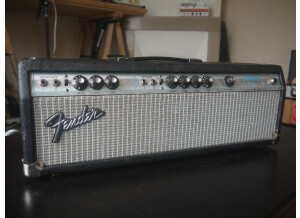 Fender Bassman 100 (Silverface) (79930)