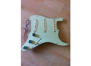 Fender Custom Shop Texas Special Stratocaster Pickups (89280)