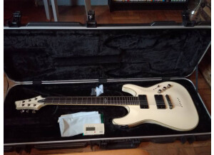 Schecter Blackjack ATX C-1 (9542)