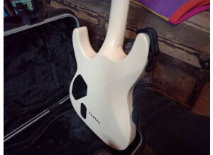 Schecter Blackjack ATX C-1 (41018)