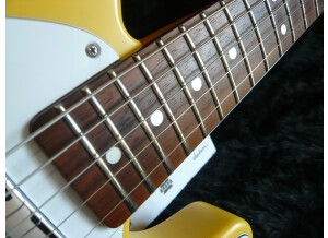 Fender TL68-BECK (5316)