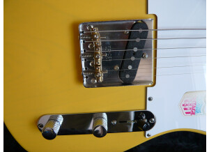 Fender TL68-BECK (19539)