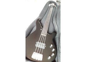 Sandberg (Bass) Terra Bass