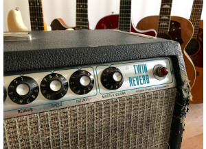 Fender Twin Reverb "Silverface" [1968-1982] (98851)