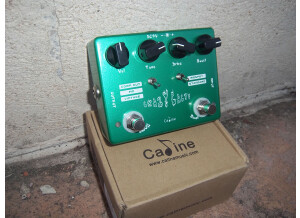 Caline CP-20 Crazy Cacti (88997)
