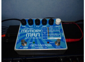 Electro-Harmonix Stereo Memory Man with Hazarai (27491)