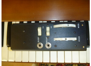 Moog Music Minimoog Model D (61791)