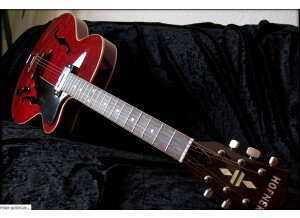 Hofner Guitars Model 450 (87217)