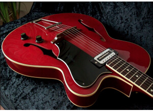Hofner Guitars Model 450 (87310)