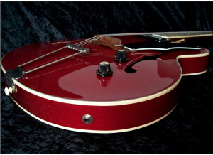 Hofner Guitars Model 450 (12434)