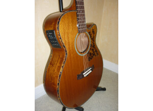 Tanglewood TW47 E (12752)