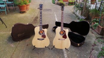 Gibson HP 415 W : Gibson HP 415 W (68996) Gibson HP 415 W : Gibson HP 415 W (68996)
