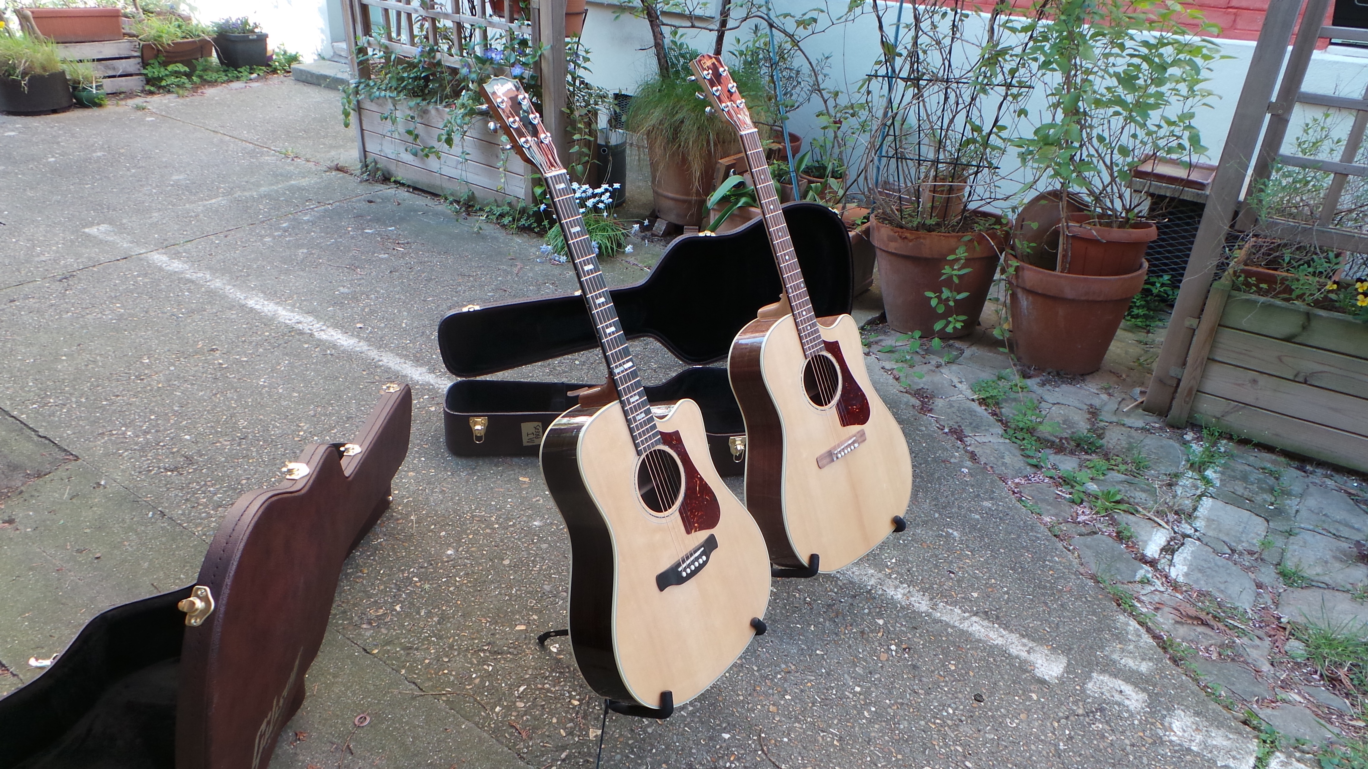 Gibson HP 415 W : Gibson HP 415 W (5578)