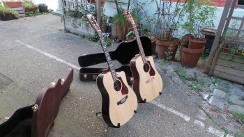 Gibson HP 415 W : Gibson HP 415 W (5578) Gibson HP 415 W : Gibson HP 415 W (5578)