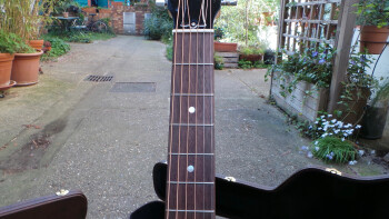 Gibson HP 415 W : Gibson HP 415 W (86631)