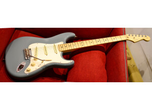 Fender American Professional Stratocaster (84420)