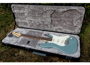 Fender American Professional Stratocaster (69290)