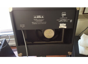 Fender Champion 110 (84678)