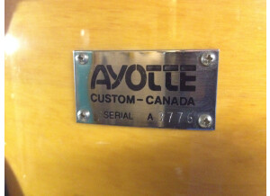 Ayotte Custom (9115)