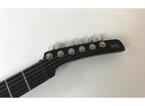 Parker Guitars Nitefly Alder (26141)
