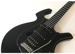 Parker Guitars Nitefly Alder (43372)