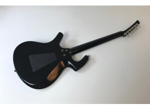 Parker Guitars Nitefly Alder (53175)