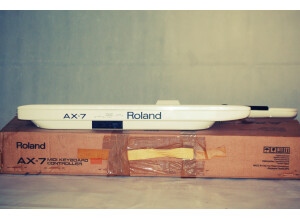 Roland AX-7 (22472)