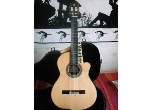 Alhambra Guitars 9P CW (64115)