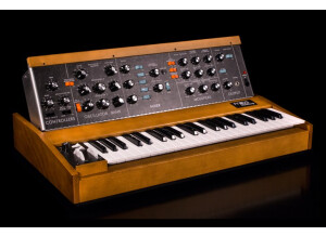 Minimoog Model D angle