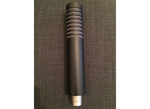 Royer Labs R-101 (1399)