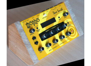 Dave Smith Instruments Mopho (37348)