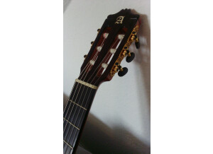 Alhambra Guitars 9 P CW