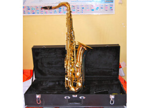 Jupiter France Saxophone JTS 787