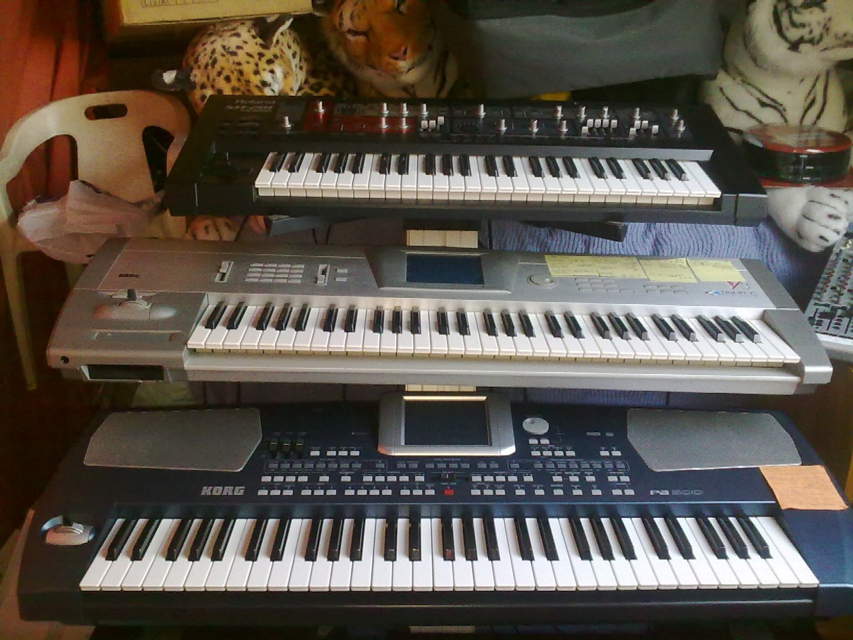 Korg Pa500