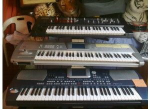 Korg Pa500 (22907)