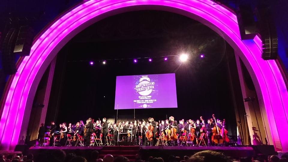 Prodipe Microphone A1 Duo