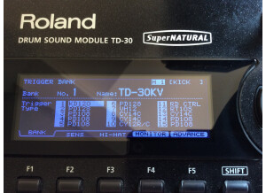 Roland TD-30 Module (49568)