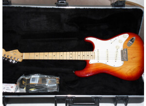 Fender American Standard Stratocaster [2012-Current] (36295)