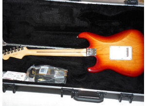 Fender American Standard Stratocaster [2012-Current] (3287)