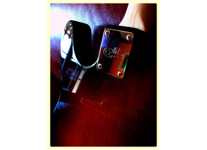 G&L ASAT Classic Bluesboy Semi-hollow (78473)