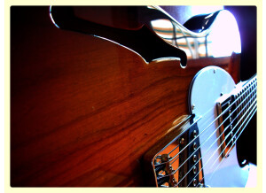 G&L ASAT Classic Bluesboy Semi-hollow (67331)